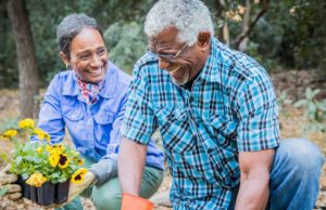 Los servicios del Programa del Adulto Mayor son gratis Los servicios del Programa del Adulto Mayor son gratis