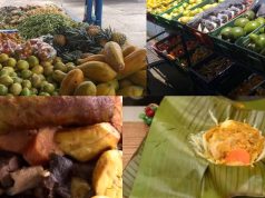 Asista a el Festival El Sabor Campesino en Madrid