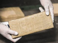 Continúa la lucha contra el narcotráfico en Cundinamarca