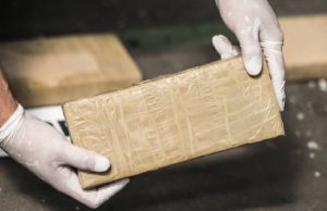 Continúa la lucha contra el narcotráfico en Cundinamarca