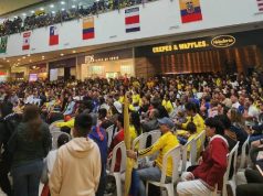 Pantalla gigante: ¿Dónde puede ver la semifinal? Pantalla Gigante