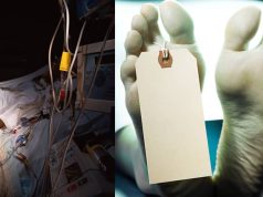 Hombre fue detenido tras causarle la muerte de un policía