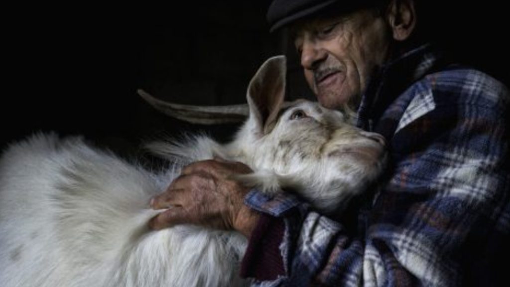 Cundinamarca fortalece bienestar animal en Fusagasugá