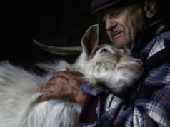 Cundinamarca fortalece bienestar animal en Fusagasugá Cundinamarca fortalece bienestar animal en Fusagasugá