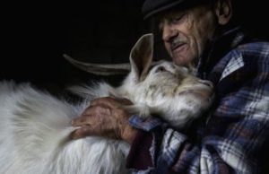 Cundinamarca fortalece bienestar animal en Fusagasugá Cundinamarca fortalece bienestar animal en Fusagasugá