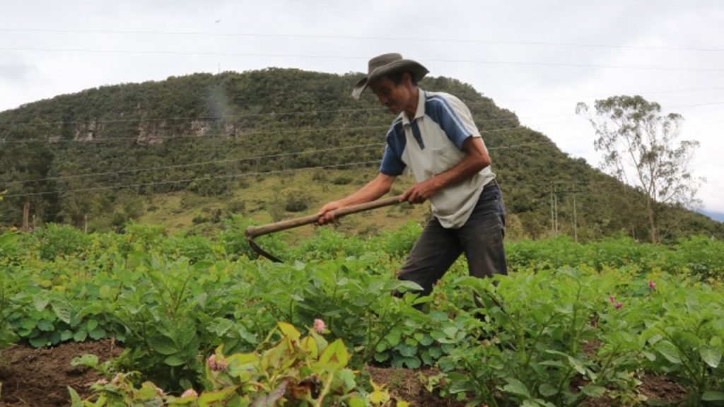 Dos municipios de Cundinamarca se verán beneficiados