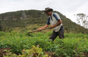 Dos municipios de Colombia se verán beneficiados económicamente Dos municipios de Cundinamarca se verán beneficiados