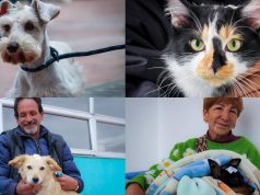 Participe en las jornadas de esterilización en Funza