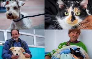 Participe en las jornadas de esterilización en Funza