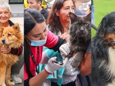 Disfrute y participe de la jornada de Mosquera PET