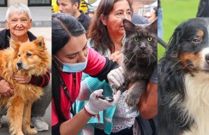 Disfrute y participe de la jornada de Mosquera PET