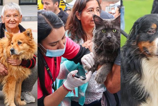 Disfrute y participe de la jornada de Mosquera PET