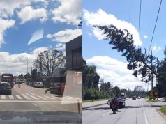 Caída de árbol genera gran congestión en la vía Funza – Siberia
