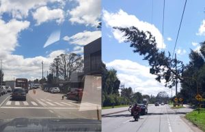 Caída de árbol genera gran congestión en la vía Funza – Siberia