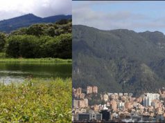 Cundinamarca busca frenar las acciones contra el cambio climático