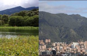 Cundinamarca busca frenar las acciones contra el cambio climático