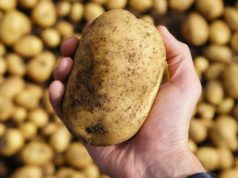 Capturan a delincuentes que robaban autos con papas en Cundinamarca Capturan a delincuentes que robaban autos con papas