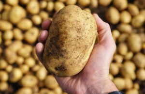 Capturan a delincuentes que robaban autos con papas en Cundinamarca Capturan a delincuentes que robaban autos con papas