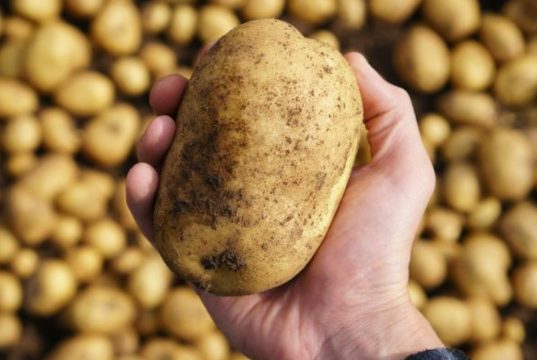 Capturan a delincuentes que robaban autos con papas en Cundinamarca Capturan a delincuentes que robaban autos con papas