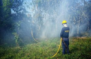 Cundinamarca en llamas por incendios forestales