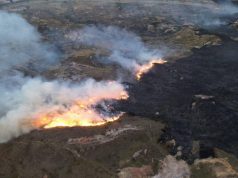 Incendios forestales se han extendido a más de 13 mil hectáreas