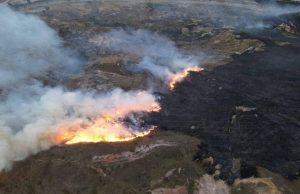 Incendios forestales se han extendido a más de 13 mil hectáreas