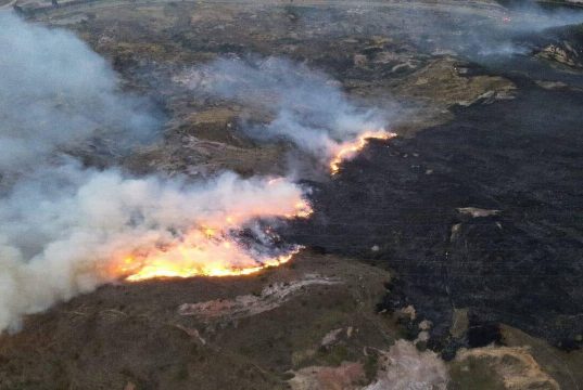 Incendios forestales se han extendido a más de 13 mil hectáreas