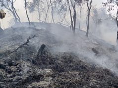 CAR declaró nivel de prevención por contaminación debido a incendios forestales CAR declaró nivel de prevención por contaminación