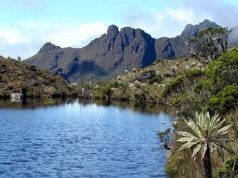 Crisis hídrica en Bogotá y Madrid: medidas urgentes Crisis hídrica en Bogotá y Madrid: medidas urgentes