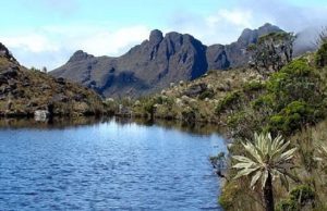 Crisis hídrica en Bogotá y Madrid: medidas urgentes Crisis hídrica en Bogotá y Madrid: medidas urgentes