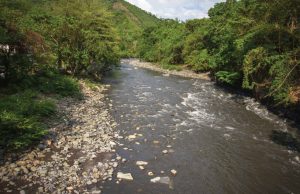Identifican cabeza hallada en río de Cundinamarca Identifican cabeza hallada en rio de Cundinamarca