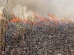 Incendios en Villeta: esfuerzo conjunto para control Incendios en Villeta: Esfuerzo conjunto para control