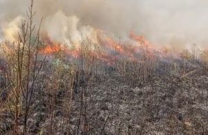 Incendios en Villeta: esfuerzo conjunto para control Incendios en Villeta: Esfuerzo conjunto para control