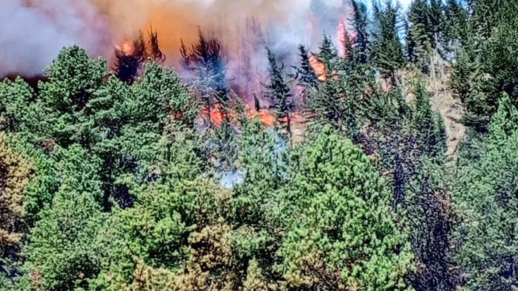 Incendios forestales se acercan a Mosquera, Cundinamarca