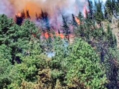 Incendios forestales se acercan a Mosquera, Cundinamarca Incendios forestales se acercan a Mosquera, Cundinamarca