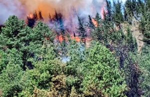 Incendios forestales se acercan a Mosquera, Cundinamarca Incendios forestales se acercan a Mosquera, Cundinamarca