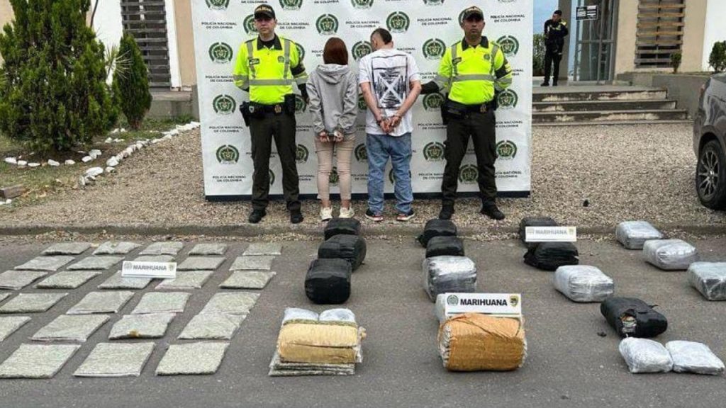 Policía incautó 100 kilogramos de marihuana en Chinauta