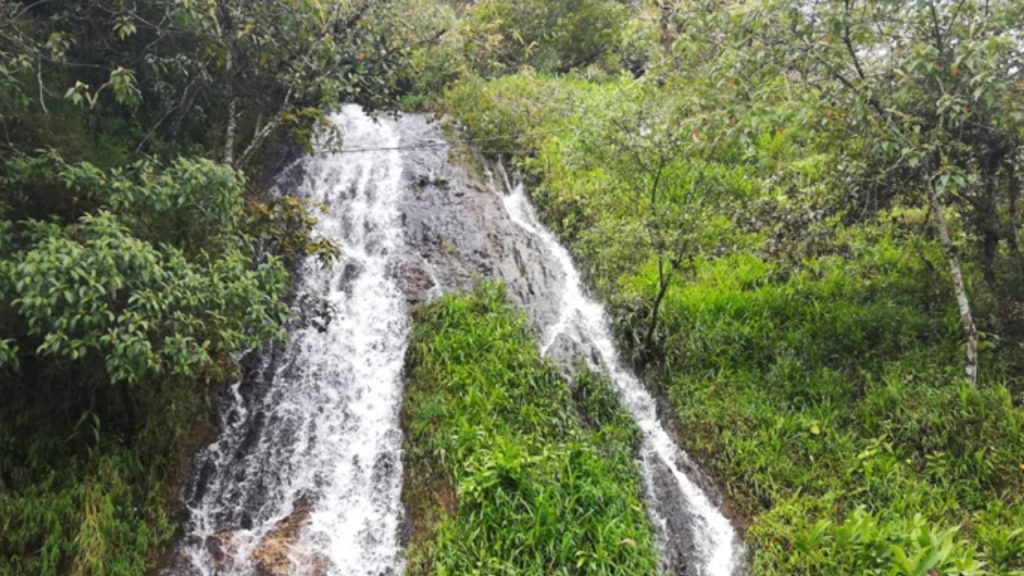 El dineral que invertirá Cundinamarca para la protección del agua