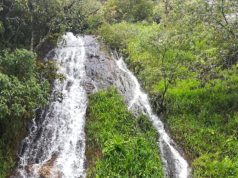 El dineral que invertirá Cundinamarca para la protección del agua El dineral que invertirá Cundinamarca para la protección del agua