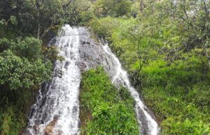 El dineral que invertirá Cundinamarca para la protección del agua El dineral que invertirá Cundinamarca para la protección del agua