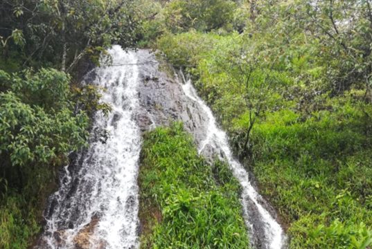 El dineral que invertirá Cundinamarca para la protección del agua El dineral que invertirá Cundinamarca para la protección del agua
