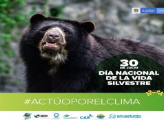 En Cundinamarca comunidad denuncia venta ilegal de animales