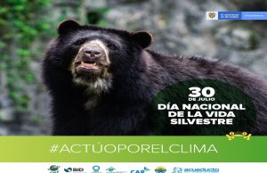 En Cundinamarca comunidad denuncia venta ilegal de animales