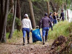 Limpieza en Ajover para recuperar espacios naturales