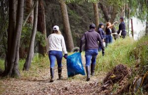 Limpieza en Ajover para recuperar espacios naturales