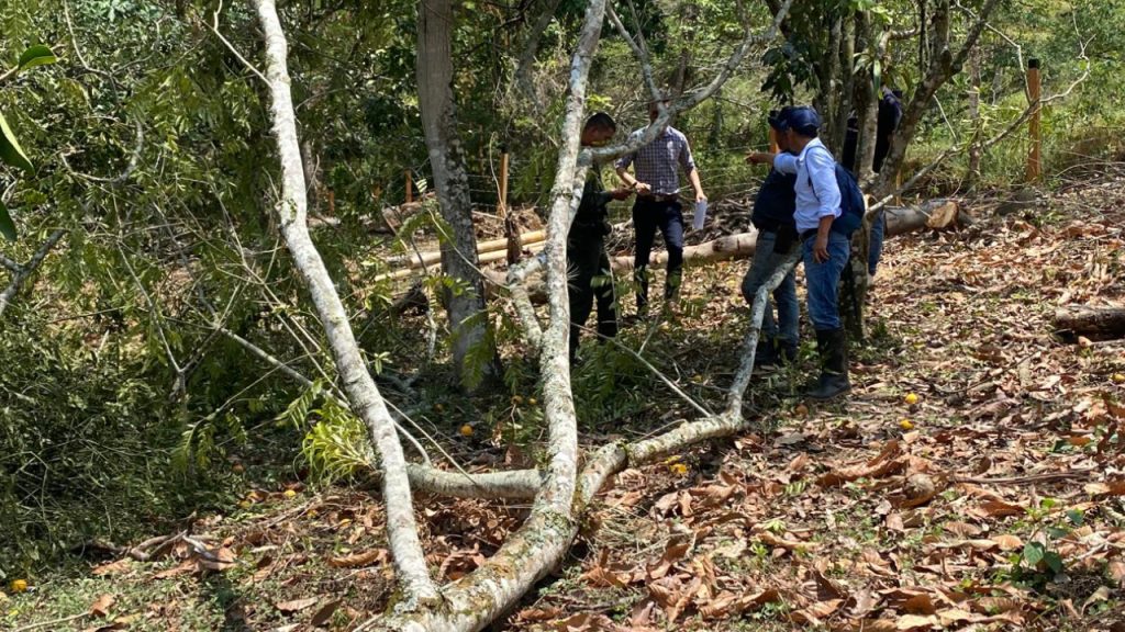 Comunidad y CAR frenan tala ilegal en Villeta, Cundinamarca