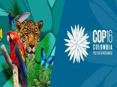 ¿Qué es la COP 16 y por qué en Colombia?