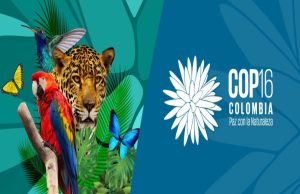 ¿Qué es la COP 16 y por qué en Colombia?