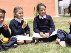 Cundinamarca lanza programa de alimentación en escuelas Cundinamarca lanza programa de alimentación en escuelas