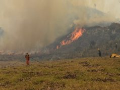 Cundinamarca supera con éxito la temporada de incendios